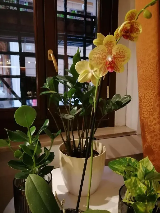 Hotel Julia Rome 3*,  Italy
